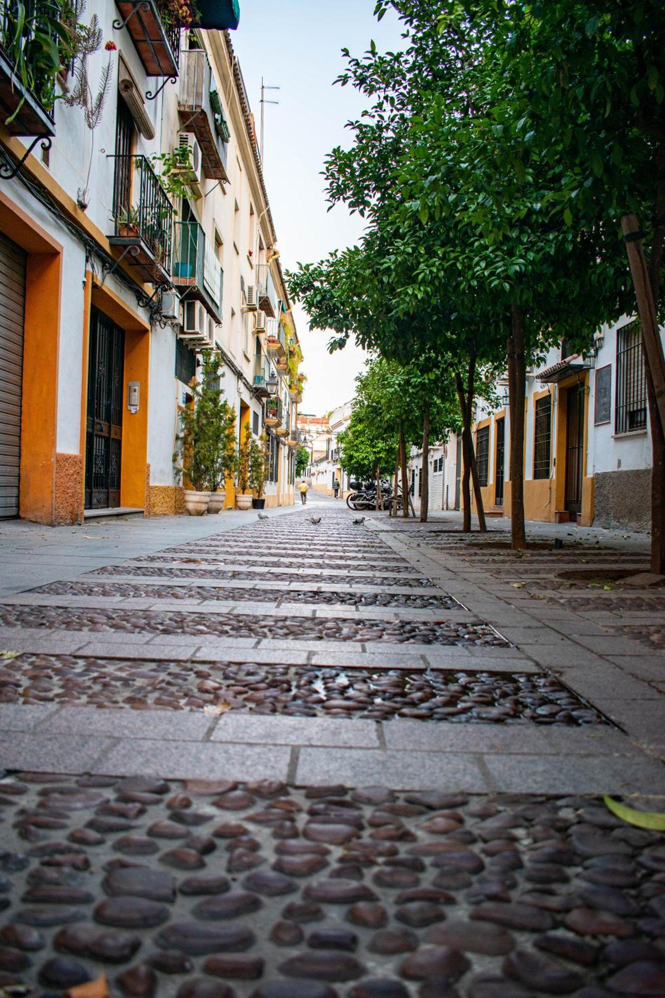 Alojamiento Entero, Centro De Cordoba Con Cochera Esterno foto